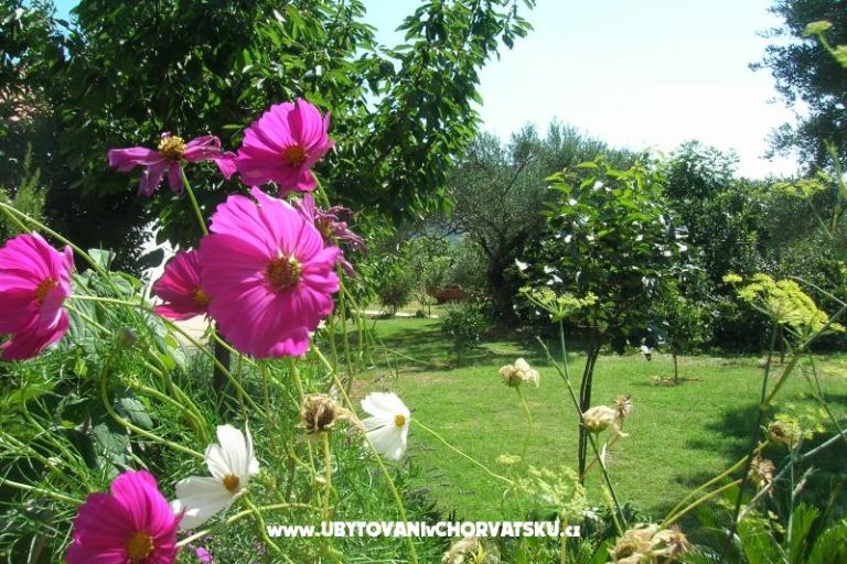 Apartmány Mira &amp; Vinko – foto 17