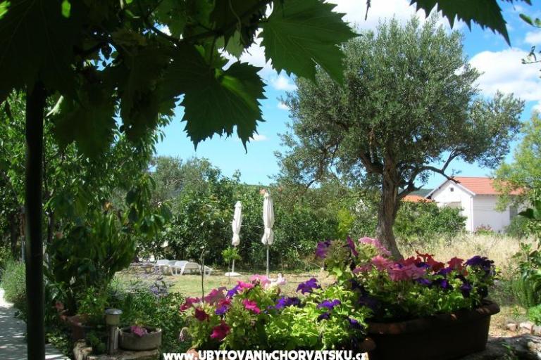 Apartmány Mira &amp; Vinko – foto 8