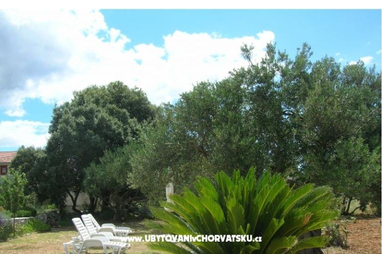 Apartmány Mira &amp; Vinko – foto 9