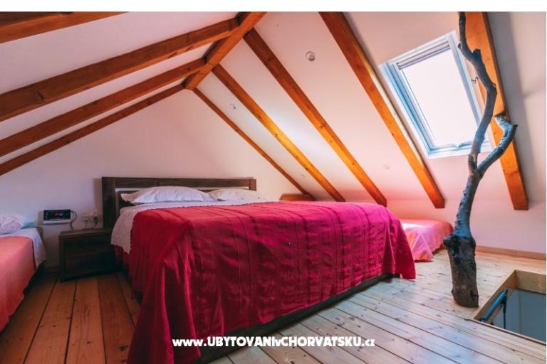 Green Dom (Dogs are welcome) – foto 24