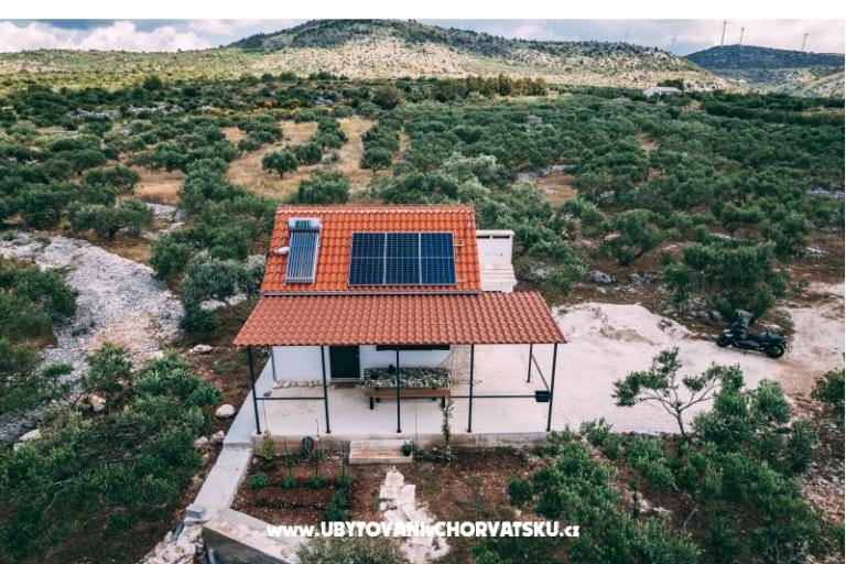 Green Dom (Dogs are welcome) – foto 3