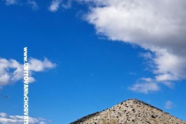 Green Dom (Dogs are welcome) – foto 6