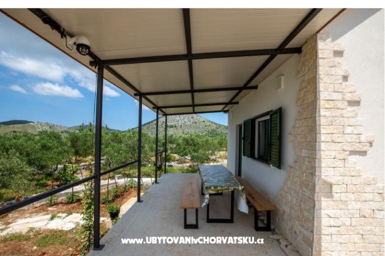 Green Dom (Dogs are welcome) – foto 8