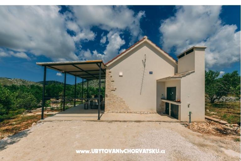 Green Dom (Dogs are welcome) – foto 9