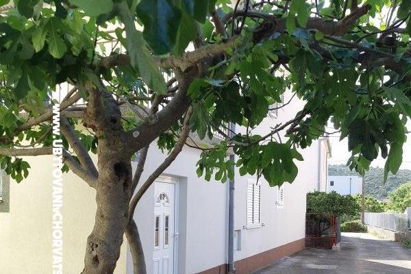 Slavko Šain – foto 26