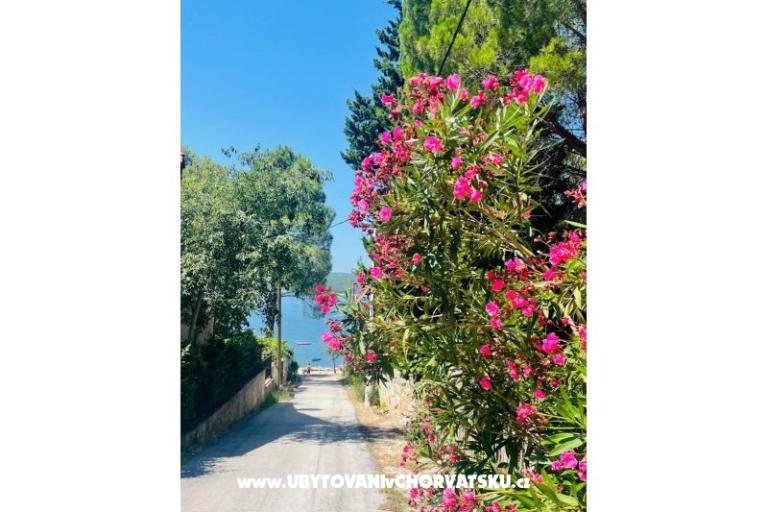 Prázdninový dom Martina – foto 23