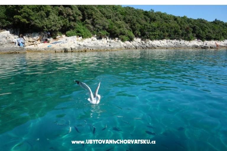 Apartmány Ciceran – foto 16