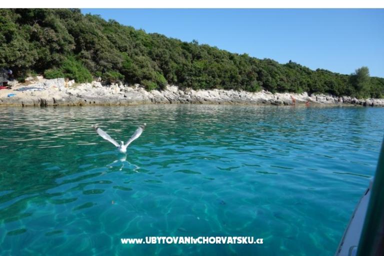 Apartmány Ciceran – foto 30