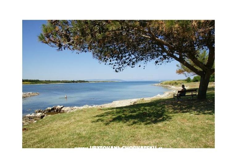 Apartmány Tena – foto 6