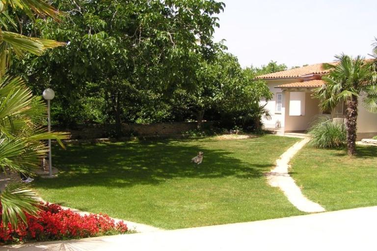 Apartmány Paloma blanca - Oaza Reg – foto 10
