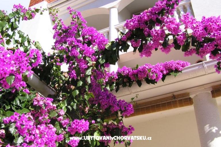 Apartmány Paloma blanca - Oaza Reg – foto 2