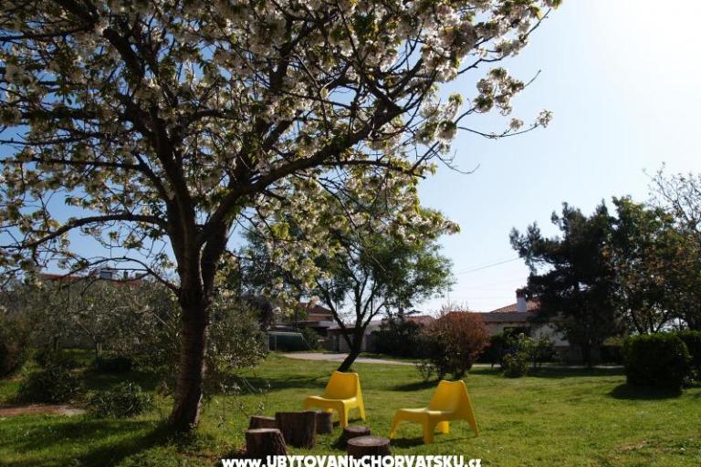 Comtemporary Apartmán – foto 15