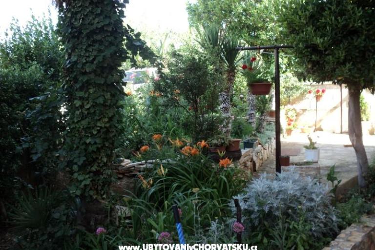 Dom Pacic – foto 14