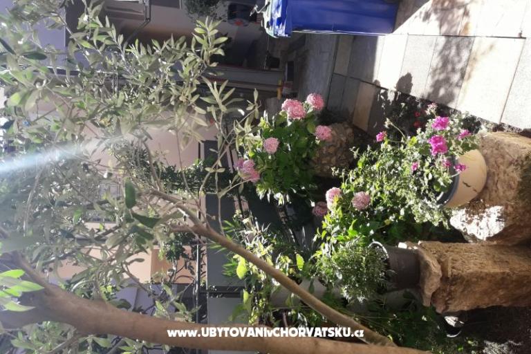Apartmány SUNI – foto 6