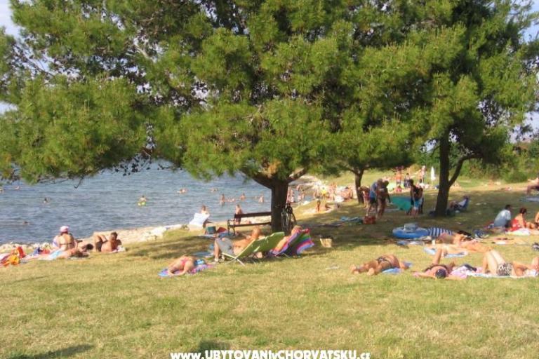 Apartmány Tomy – foto 17