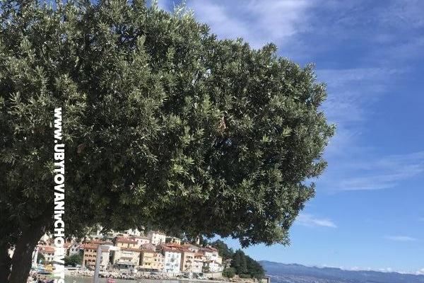 Apartmány Rubinić  – foto 32