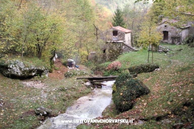 Prázdninový dom Mickey – foto 20