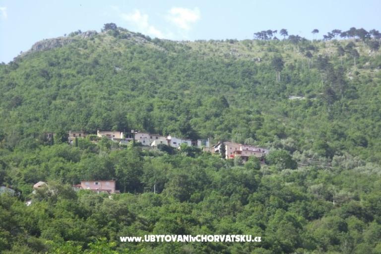 Prázdninový dom Mickey – foto 21