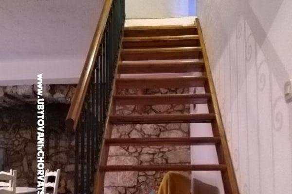 Prázdninový dom Mickey – foto 28