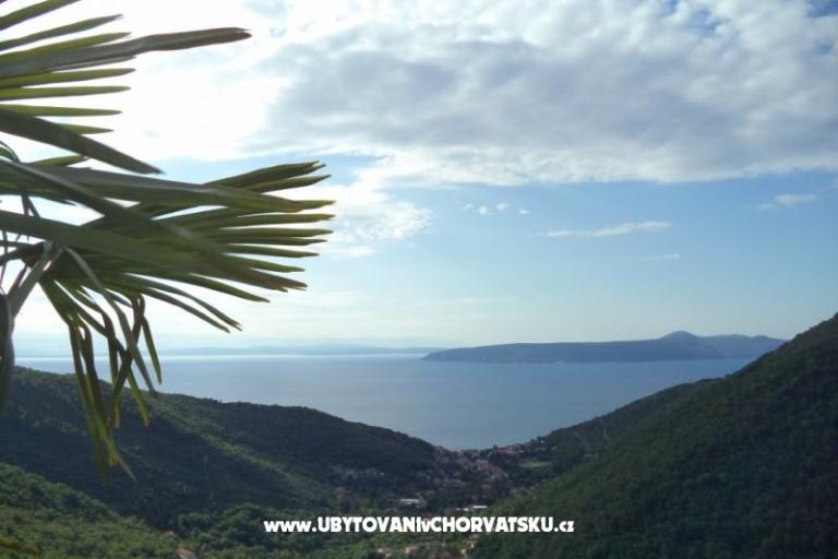 Prázdninový dom Mickey – foto 3