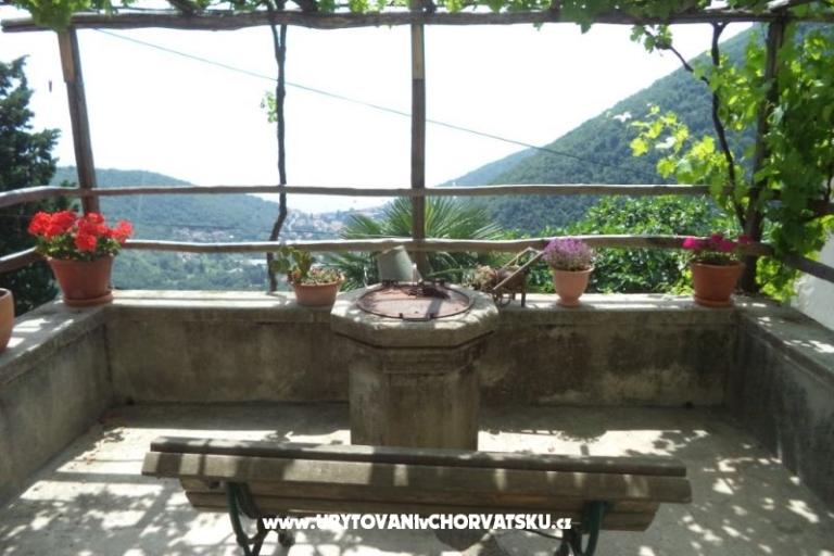 Prázdninový dom Mickey – foto 5