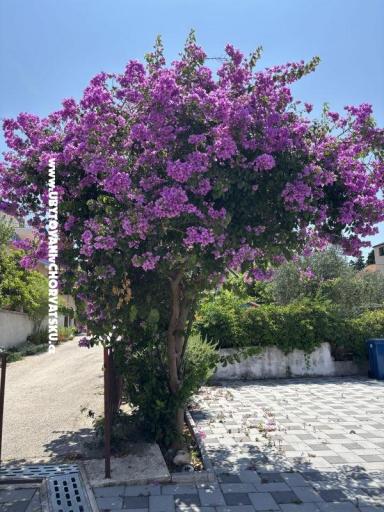 Apartmány Kovačić – foto 15