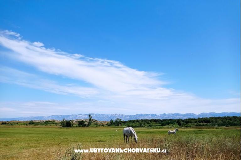 Apartmán Zidaric – foto 15