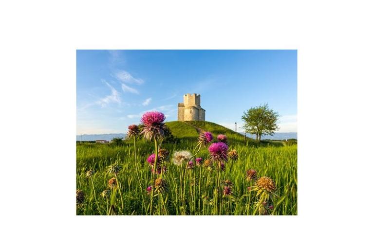 Apartmány Elizabeta – foto 15