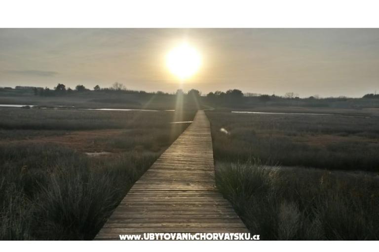 Apartmány Ivana Nin – foto 18