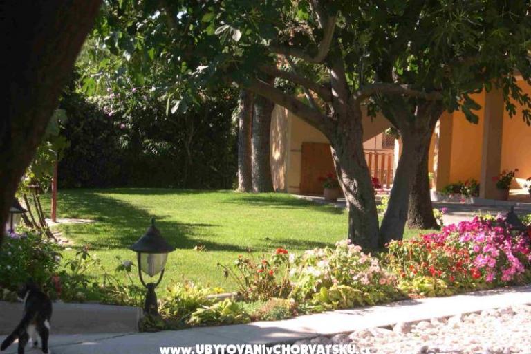 Apartmány Mrdelja – foto 7