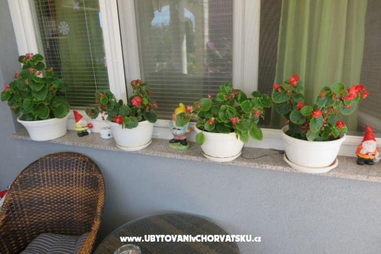 Apartmány Renata – foto 5