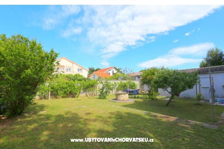 Melia Nin – foto 5