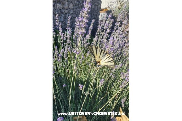 Holiday Home POMALO – foto 26