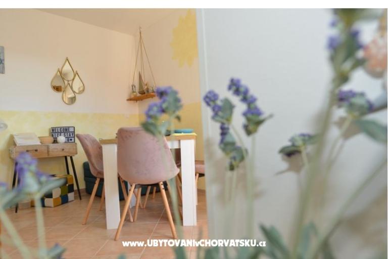 Apartmán Bonzo Novalja – foto 12
