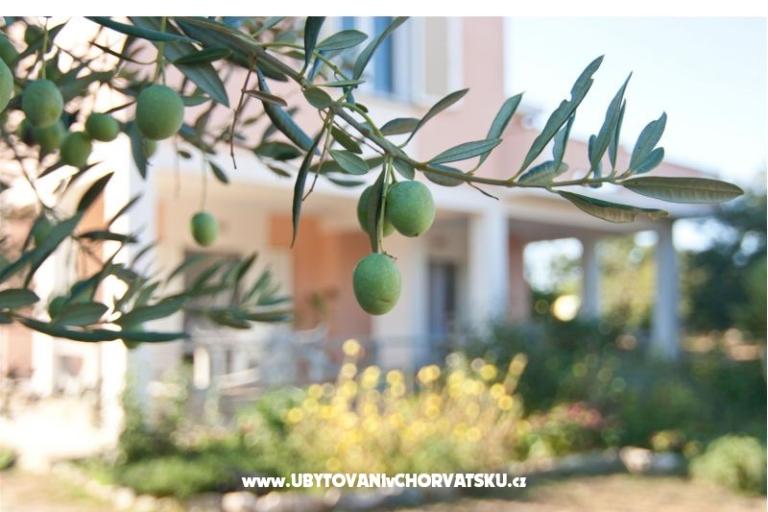 Apartmány Danijela – foto 7
