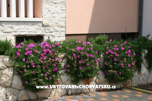 Apartmány Grga – foto 5