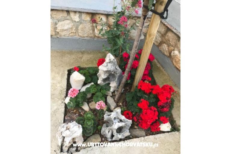 Apartmány Katarina – foto 18