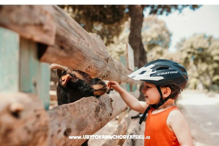 Mobile Home Luna - Kamp Straško – foto 10