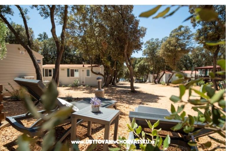 Dom Sookie – foto 10