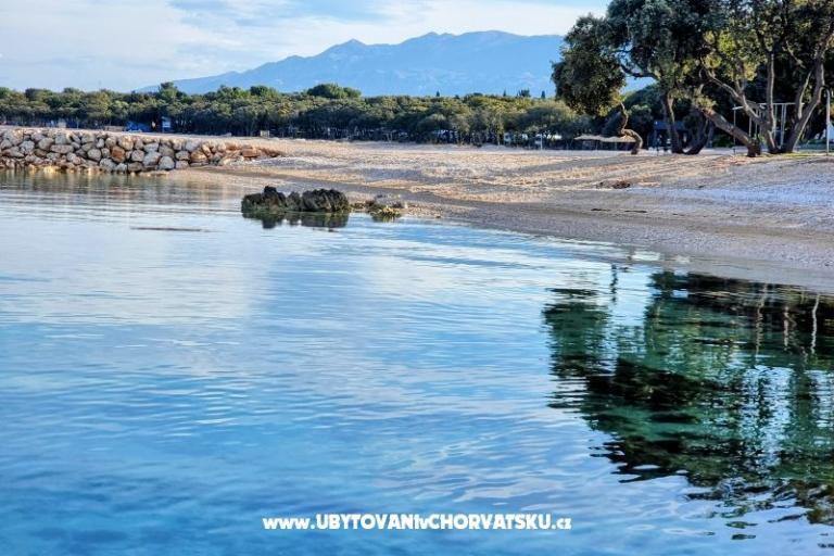 Dom Sookie – foto 26