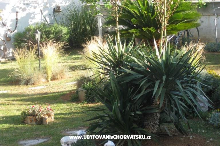 Villa Carrington – foto 3