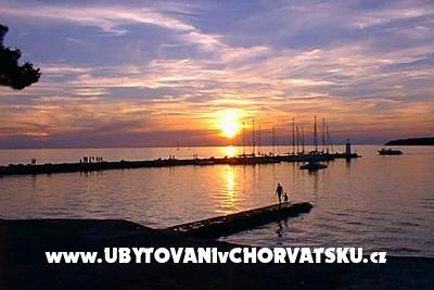 Apartmán Ruža – foto 7
