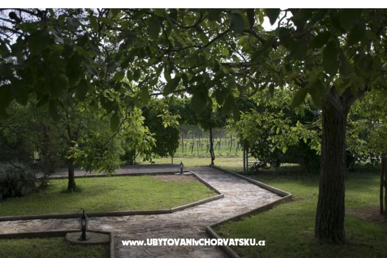 Sanja Apartmány Novigrad – foto 7
