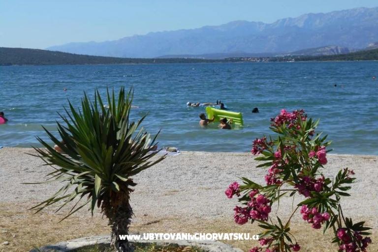 Apartmán Dedi – foto 9