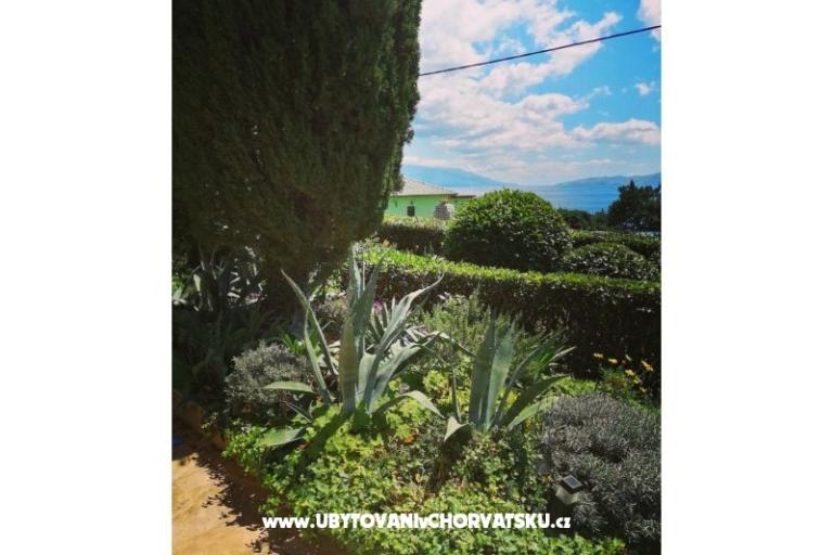 Apartmány BUTKOVIĆ DUBRAVKA – foto 10