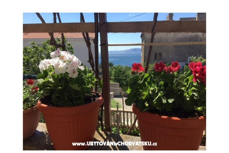 Apartmány Marijana – foto 17
