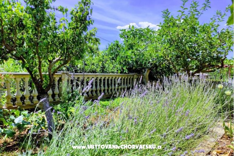 Vila Mira – foto 13