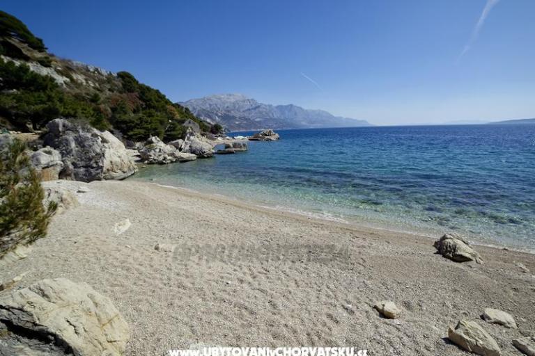 Apartmány 1234 – foto 8