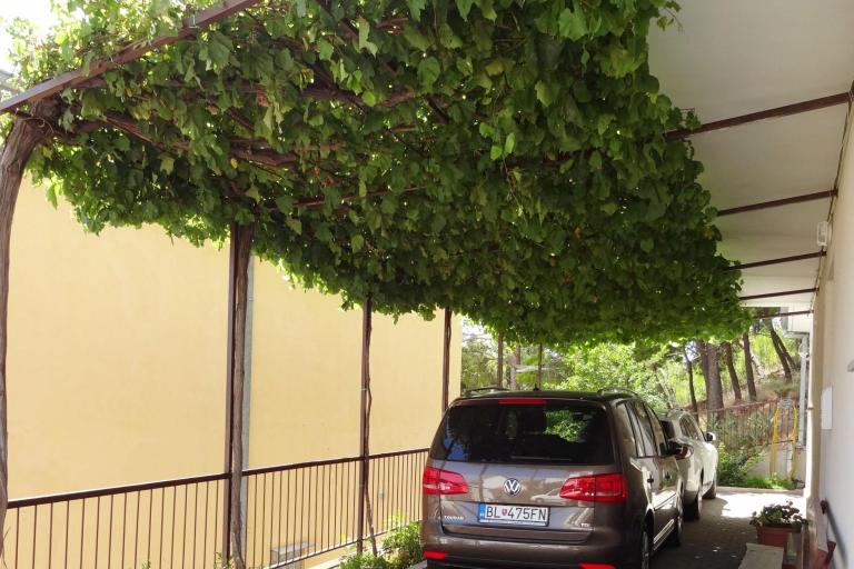 Apartmán Madunić – foto 8