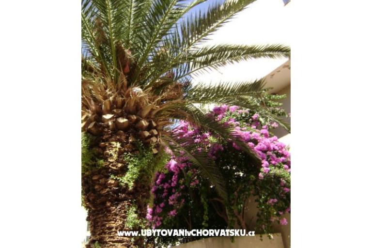 Apartmán Mia – foto 11